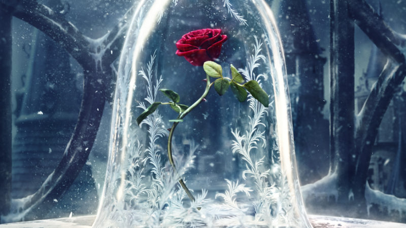 10 Latest Beauty And The Beast Desktop Background FULL HD 1920×1080 For PC Background 2024 free download 25 beauty and the beast 2017 hd wallpapers background images 800x450