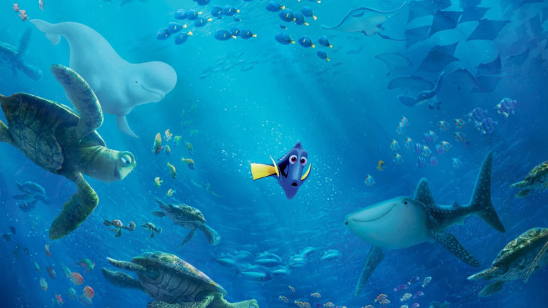 10 Best Finding Dory Ocean Background FULL HD 1920×1080 For PC Background 2024 free download 29 finding dory hd wallpapers background images wallpaper abyss 1 800x450