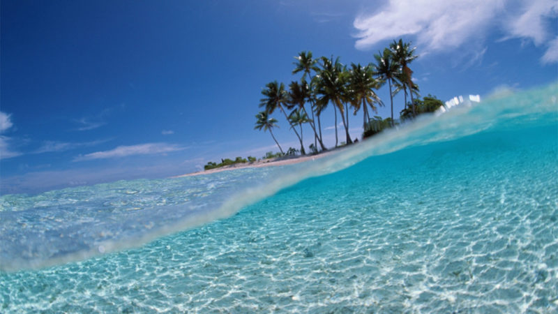 10 Latest Tropical Wallpaper For Computer FULL HD 1920×1080 For PC Desktop 2024 free download 35 hd tropical island wallpapers for desktop wpaisle 1 800x450