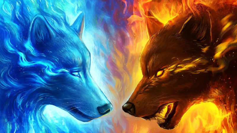 10 Top Cool Wallpapers Of Wolves FULL HD 1920×1080 For PC Desktop 2023 free download 66 fire wolf wallpapers on wallpaperplay 800x450
