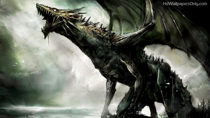 10 Most Popular Dark Dragon Wallpaper FULL HD 1080p For PC Background 2024 free download 70 black dragon wallpapers on wallpaperplay 800x450