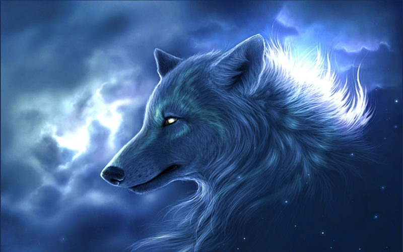 10 Top Cool Wallpapers Of Wolves FULL HD 1920×1080 For PC Desktop 2023 free download 71 cool wolf wallpapers on wallpaperplay 800x500