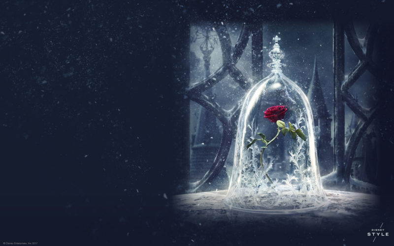 10 Latest Beauty And The Beast Desktop Background FULL HD 1920×1080 For PC Background 2024 free download add some magic to your devices with these beauty and the beast 5 800x500