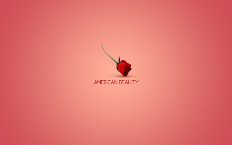 10 New American Beauty Wallpaper FULL HD 1920×1080 For PC Desktop 2024 free download american beauty wallpapers hd desktop and mobile backgrounds 800x500