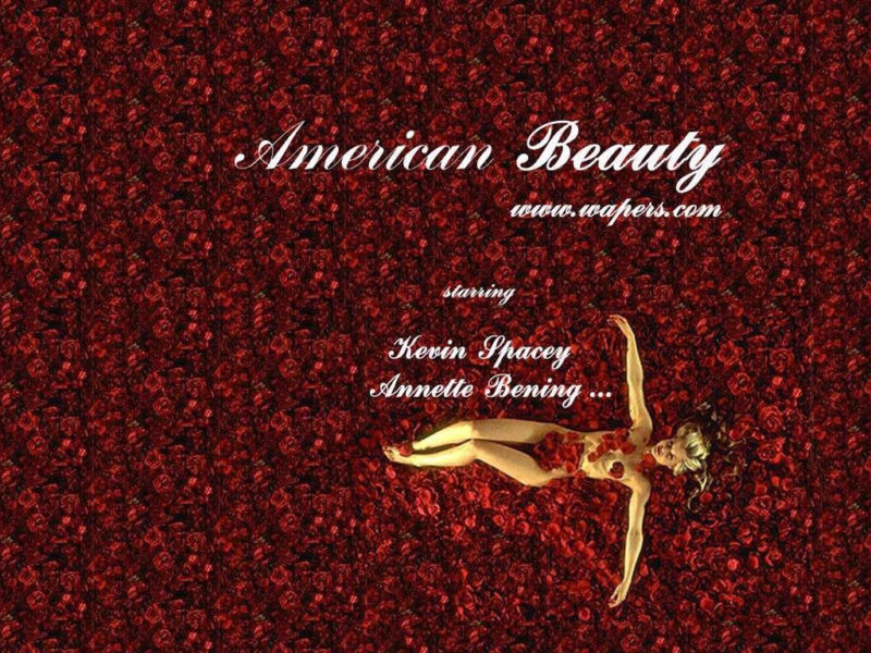 10 New American Beauty Wallpaper FULL HD 1920×1080 For PC Desktop 2024 free download american beauty wallpapers wallpaper cave 1 800x600