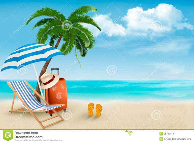10 New Palm Tree And Beach Pictures FULL HD 1080p For PC Background 2024 free download beach with palm trees and beach chair stock vector illustration 800x591
