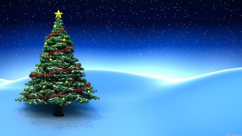 10 Most Popular Animated Christmas Tree Wallpapers FULL HD 1920×1080 For PC Desktop 2024 free download beautiful christmas tree wallpapers patterns christmas tree 800x450