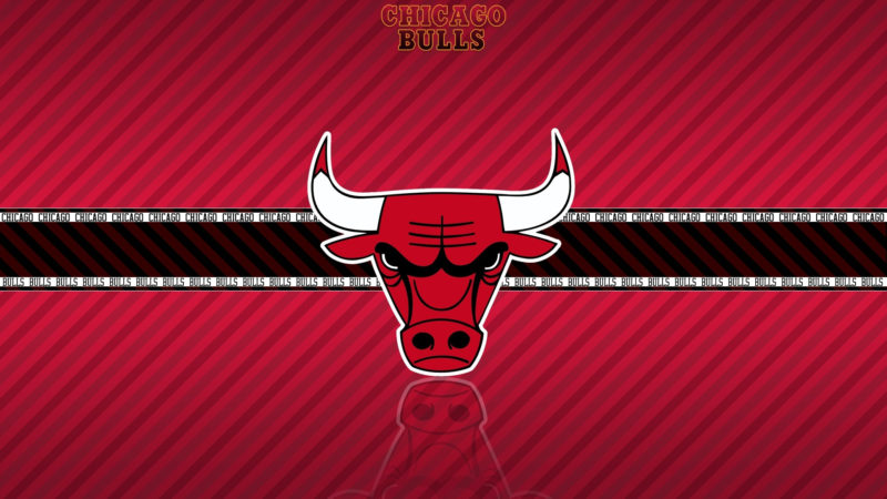 10 Best Chicago Bulls Hd Wallpaper FULL HD 1080p For PC Desktop 2021 free download chicago bulls hd wallpapers flip wallpapers download free 800x450