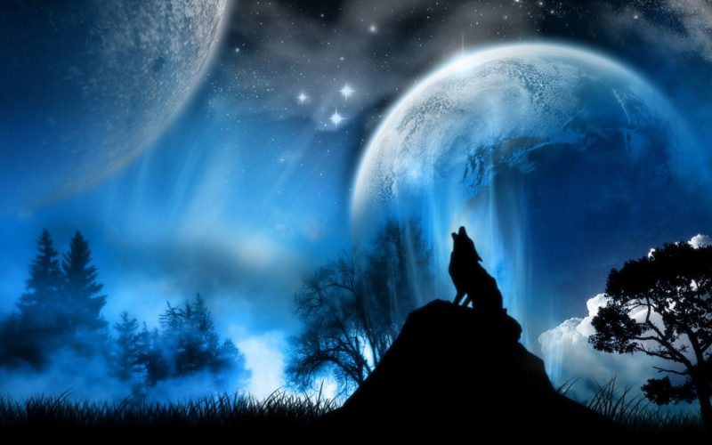 10 Top Cool Wallpapers Of Wolves FULL HD 1920×1080 For PC Desktop 2023 free download cool backgrounds moon wolves background cool wallpaper images 800x500