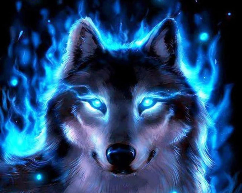 10 Top Cool Wallpapers Of Wolves FULL HD 1920×1080 For PC Desktop 2023 free download cool wolves backgrounds wallpaper free hd wallpapers book art 2 800x640