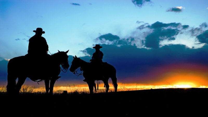 10 New Cowboy Screen Savers FULL HD 1920×1080 For PC Background 2024 free download cow screensaver ecosia 800x450