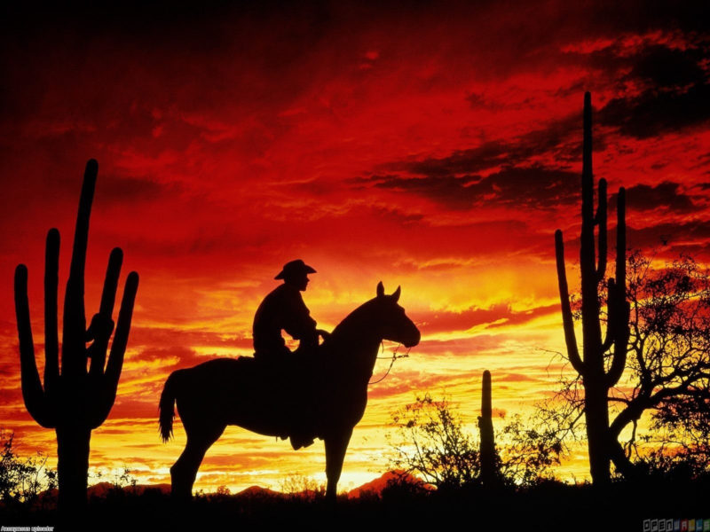 10 New Cowboy Screen Savers FULL HD 1920×1080 For PC Background 2024 free download cowboy sunset sunset cowboy wallpaper 7460 open walls 800x600
