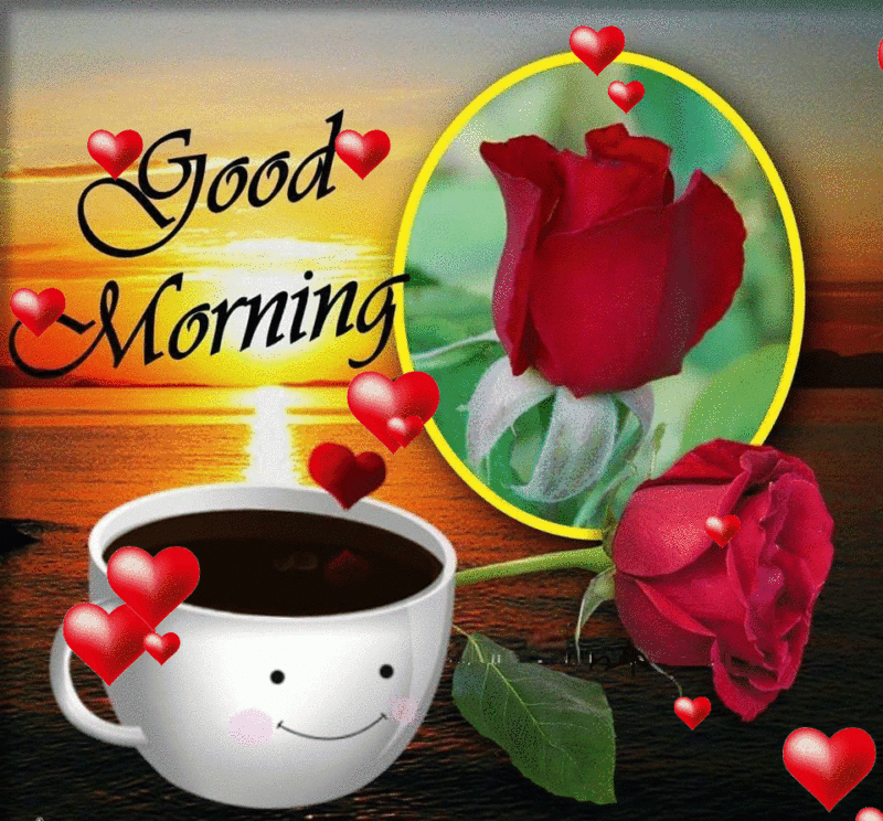 10 Most Popular Images For Good Morning FULL HD 1080p For PC Desktop 2024 free download cute good morning gif pictures photos and images for facebook 800x744