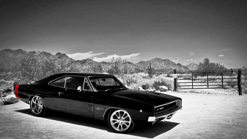 10 Best 1969 Dodge Charger Wallpaper FULL HD 1080p For PC Background 2024 free download dodge charger wallpapers wallpaper cave 800x450