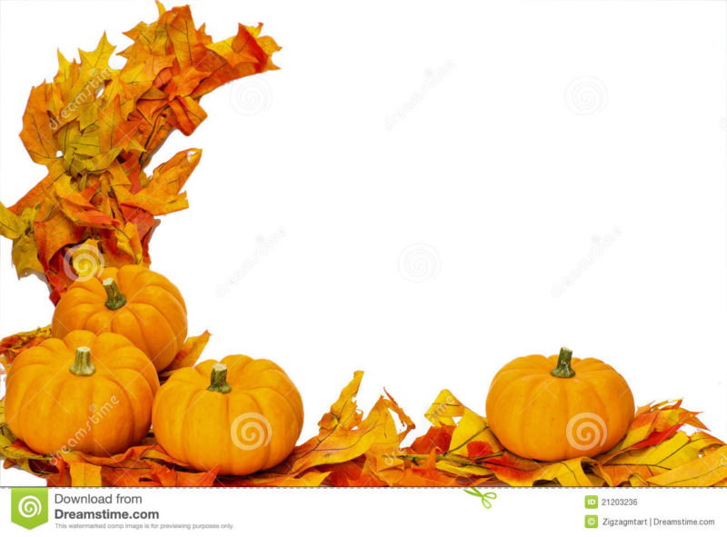 10 New Fall Thanksgiving Images FULL HD 1080p For PC Background 2024 free download fall thanksgiving halloween decoration isolated stock photo image 800x591