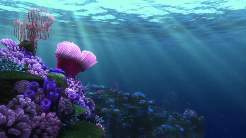 10 Best Finding Dory Ocean Background FULL HD 1920×1080 For PC Background 2024 free download finding nemo screensaver coral reef 1 youtube 2 800x450