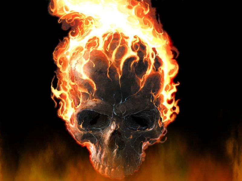 10 New Fire Skull Wallpapers FULL HD 1920×1080 For PC Desktop 2024 free download fire skull wallpapers wallpaper cave 1 800x598