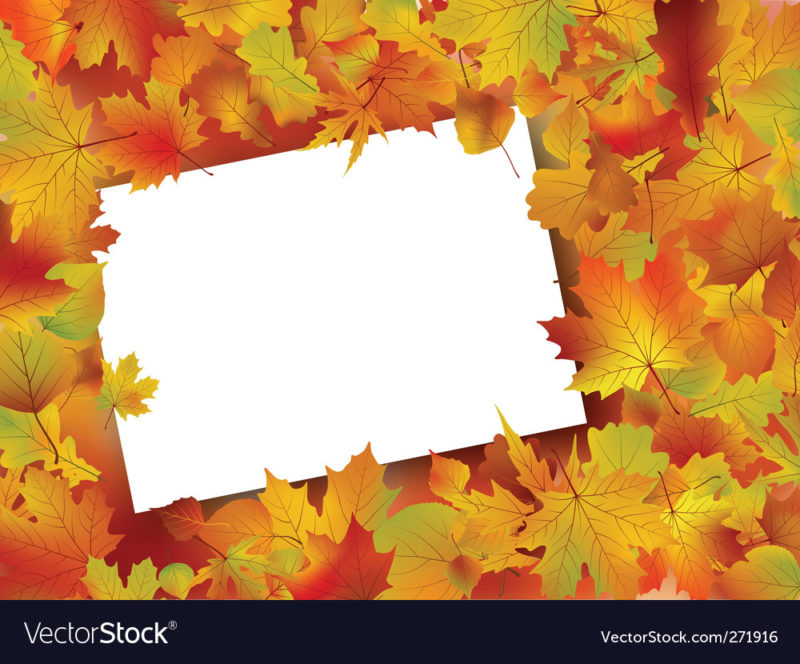 10 New Fall Thanksgiving Images FULL HD 1080p For PC Background 2024 free download frame thanksgiving rustic vector images 30 800x664