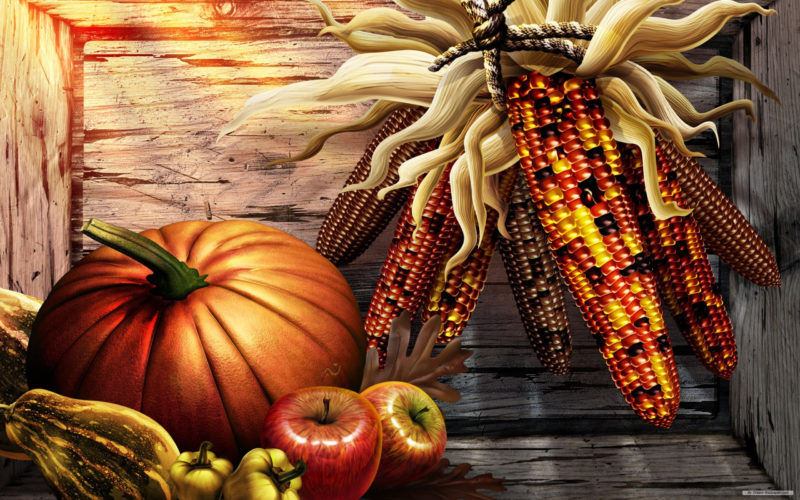 10 Top High Definition Thanksgiving Wallpaper FULL HD 1080p For PC Desktop 2024 free download free thanksgiving photo download high definiton wallpapers windows 800x500