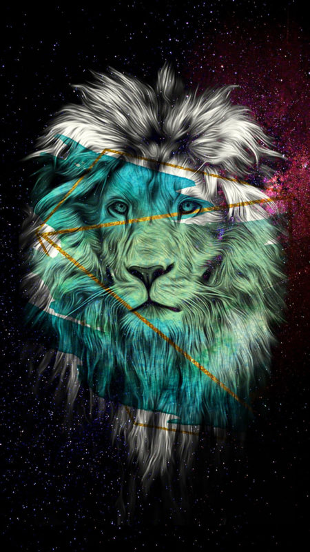 10 Latest Galaxy Lion Wallpaper FULL HD 1920×1080 For PC Background 2024 free download galaxy lion animal wallpapers in 2019 lion art galaxy wallpaper 450x800