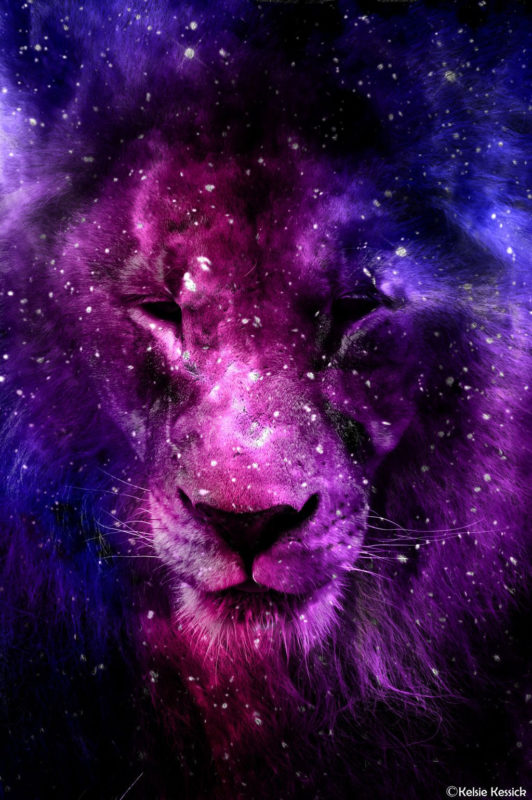 10 Latest Galaxy Lion Wallpaper FULL HD 1920×1080 For PC Background 2024 free download galaxy lionkmkessick on deviantart india random for india in 532x800