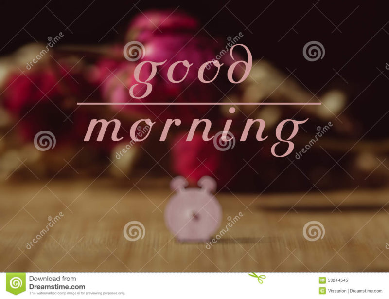 10 Most Popular Images For Good Morning FULL HD 1080p For PC Desktop 2024 free download good morning stock images download 53345 royalty free photos 1 800x614