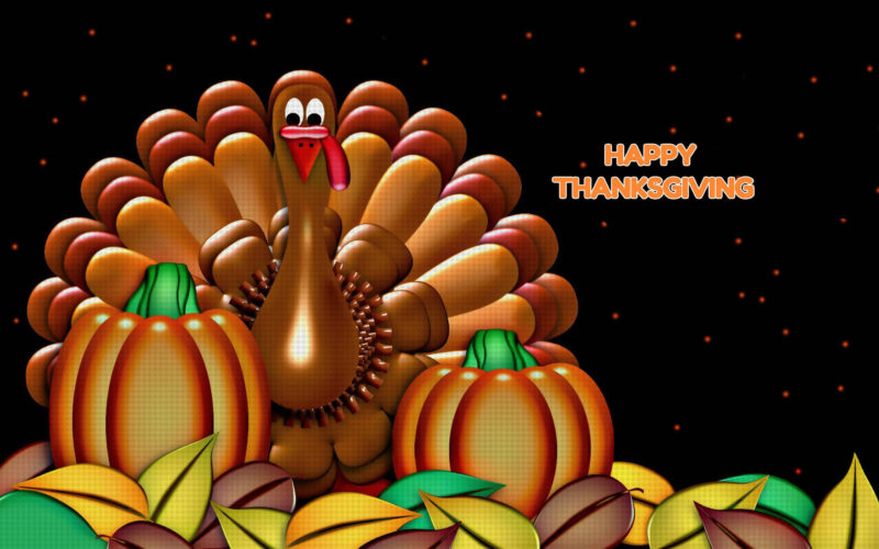 10 Top High Definition Thanksgiving Wallpaper FULL HD 1080p For PC Desktop 2024 free download hd thanksgiving wallpaper wallpapersafari 800x500