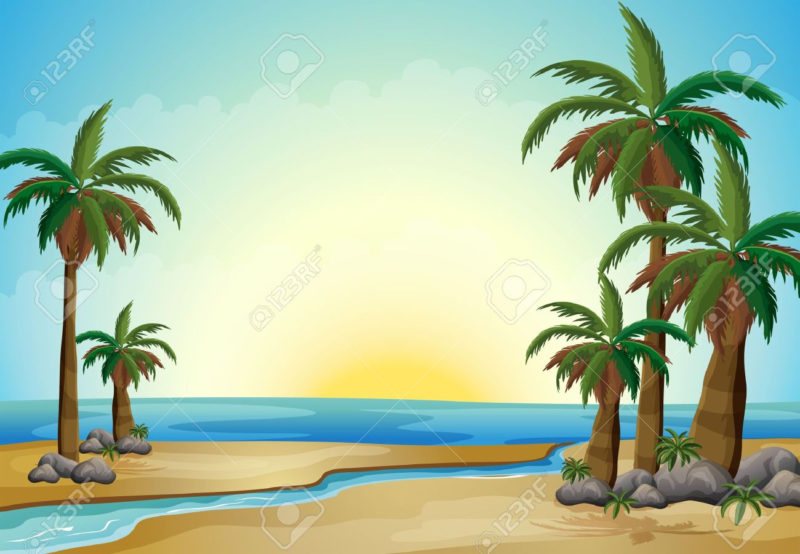 10 New Palm Tree And Beach Pictures FULL HD 1080p For PC Background 2024 free download illustration of the palm trees at the beach royalty free cliparts 800x554