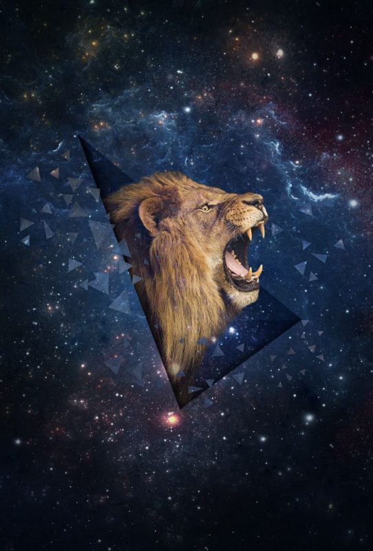 10 Latest Galaxy Lion Wallpaper FULL HD 1920×1080 For PC Background 2024 free download lion galaxy h i p s t e r iphone 5s wallpaper wallpaper space 542x800