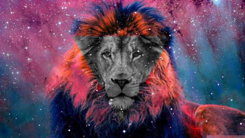 10 Latest Galaxy Lion Wallpaper FULL HD 1920×1080 For PC Background 2024 free download lion galaxy wallpapers top free lion galaxy backgrounds 800x450