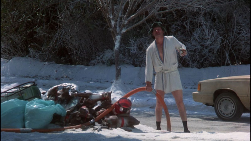 10 Latest National Lampoon's Christmas Vacation Wallpaper FULL HD 1920×1080 For PC Desktop 2024 free download national lampoons christmas vacation national lampoon christmas 800x450