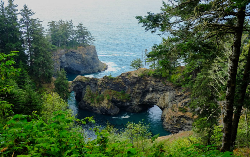 10 Most Popular Oregon Nature Pictures FULL HD 1080p For PC Background 2024 free download natural bridges oregon coast us oc 3587x2253 earthporn 800x502
