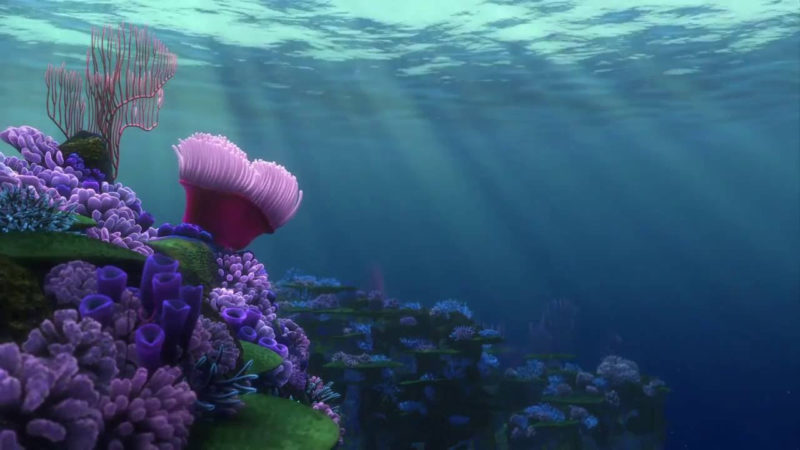 10 Best Finding Dory Ocean Background FULL HD 1920×1080 For PC Background 2024 free download nemo egg finding nemo acapella cover youtube 800x450