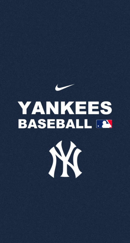 10 Top New York Yankees Logo Wallpaper FULL HD 1080p For PC Background 2024 free download new york yankees iphone wallpaper wallpapersafari yankees hertha 428x800