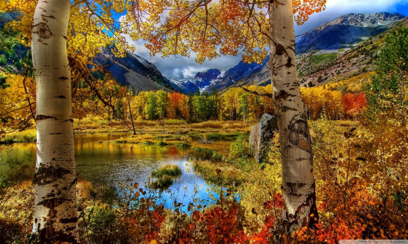 10 New Autumn Scenes Wallpaper FULL HD 1080p For PC Background 2021 free download perfect autumn scenery e29da4 4k hd desktop wallpaper for 4k ultra hd tv 1 800x480
