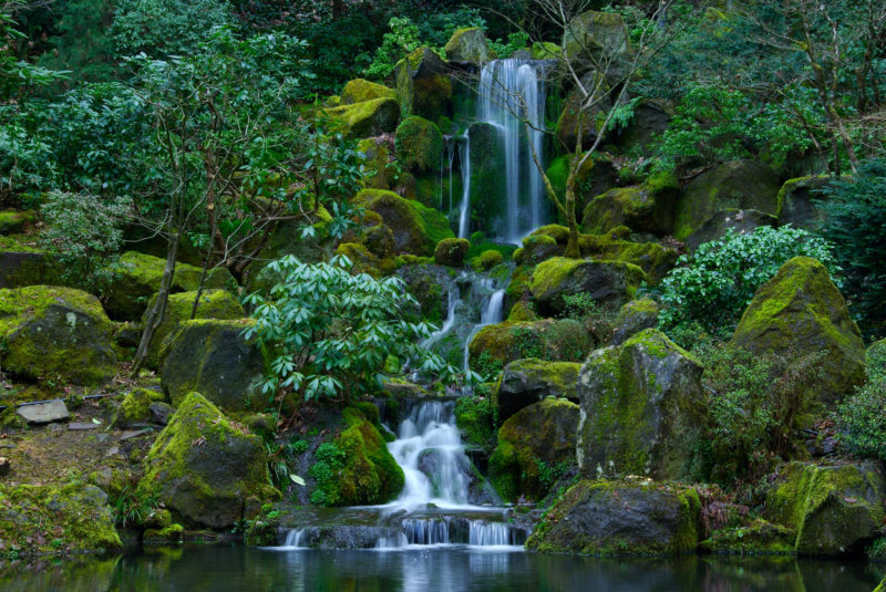 10 Most Popular Oregon Nature Pictures FULL HD 1080p For PC Background 2024 free download picture usa portland japanese oregon nature waterfalls 3060x2048 800x535