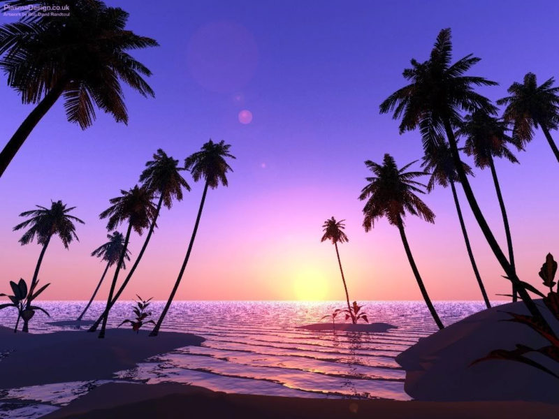 10 New Palm Tree And Beach Pictures FULL HD 1080p For PC Background 2024 free download pinzana pop miteva on summer beach scene wallpaper beach 800x600
