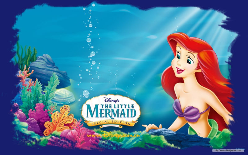 10 New The Little Mermaid Hd Wallpaper FULL HD 1080p For PC Desktop 2023 free download sites of great wallpapers images the little mermaid hd wallpaper and 800x500