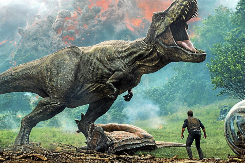 10 Most Popular Pics Of T Rex FULL HD 1080p For PC Background 2024 free download t rex hat im dino film nichts zu suchen 800x533