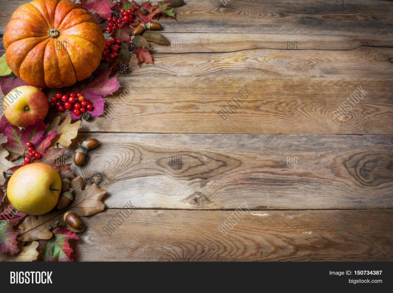 10 New Fall Thanksgiving Images FULL HD 1080p For PC Background 2024 free download thanksgiving fall image photo free trial bigstock 800x597