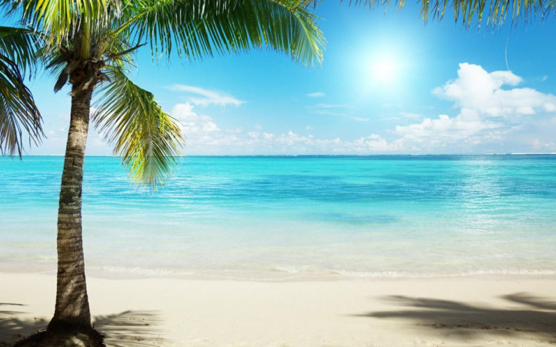 10 Best Beach Background Pictures FULL HD 1080p For PC Desktop 2024 free download tropical beach background wallpaper 1920x1200 6783 tropical 800x500