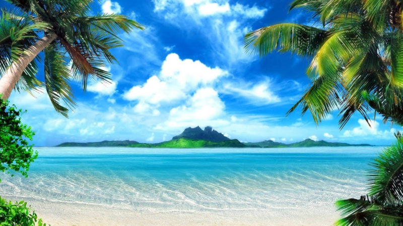 10 New Palm Tree And Beach Pictures FULL HD 1080p For PC Background 2024 free download tropical island music palm tree beach youtube 800x450