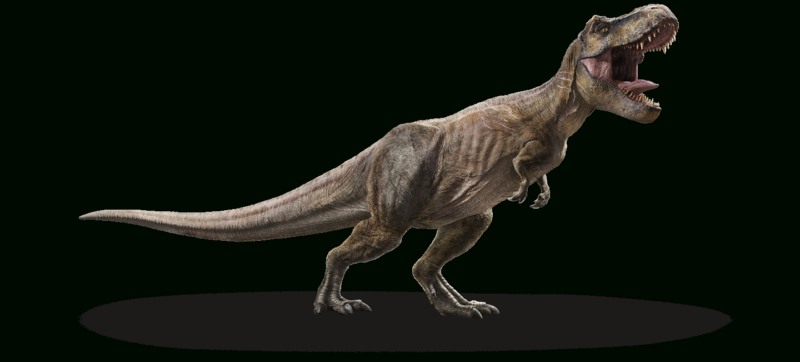 10 Most Popular Pics Of T Rex FULL HD 1080p For PC Background 2024 free download tyrannosaurus rex jurassic world 800x362