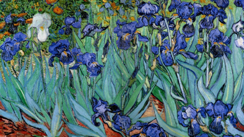 10 Latest Van Gogh Desktop Background FULL HD 1080p For PC Background 2023 free download van gogh wallpapers top free van gogh backgrounds wallpaperaccess 800x450