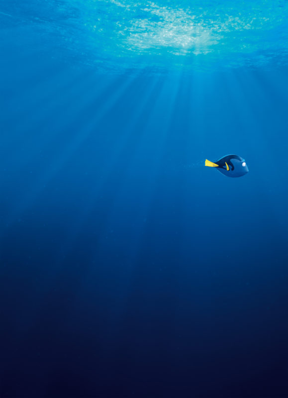 10 Best Finding Dory Ocean Background FULL HD 1920×1080 For PC Background 2024 free download wallpaper finding dory 2016 movies movies most popular 17 579x800