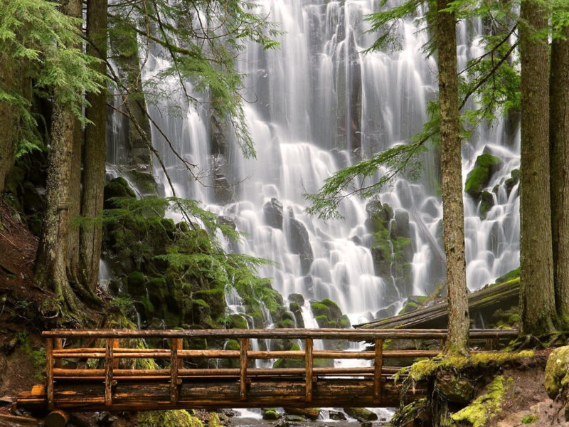 10 Most Popular Oregon Nature Pictures FULL HD 1080p For PC Background 2024 free download waterfalls waterfalls oregon hd pictures nature free for hd 169 800x600