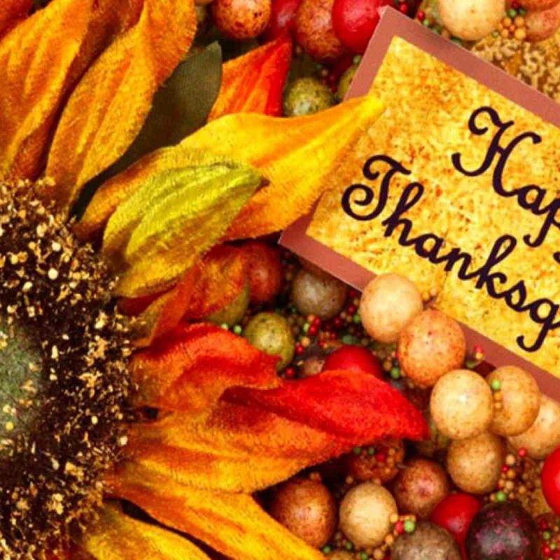 10 Top Free Thanksgiving Screensavers Wallpaper FULL HD 1080p For PC Desktop 2024 free download 13 free thanksgiving wallpapers and backgrounds 800x800
