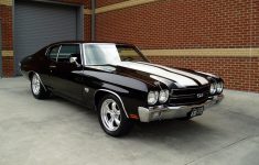 1970 chevelle ss interior, specs, pictures