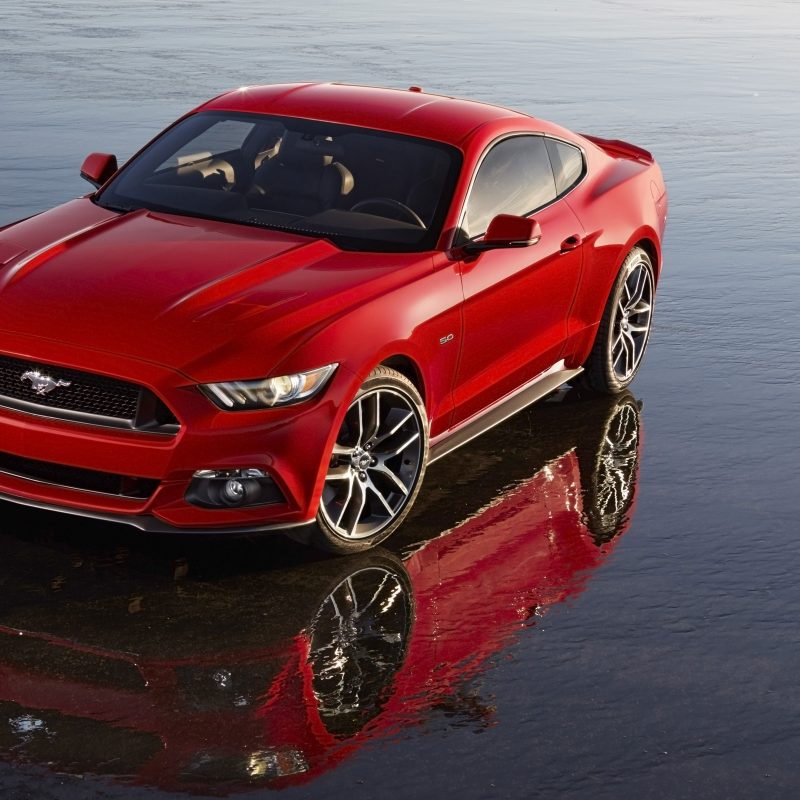 10 Top Ford Mustang 2015 Wallpaper FULL HD 1920×1080 For PC Desktop 2021 free download 2015 ford mustang wallpaper hd car wallpapers 800x800