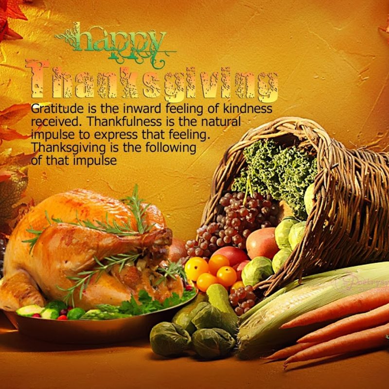 10 Latest Happy Thanksgiving Wallpaper Free FULL HD 1920×1080 For PC Background 2024 free download 2016 happy thanksgiving imagespictures clip arts wallpapers 800x800